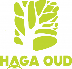 HAGA OUD